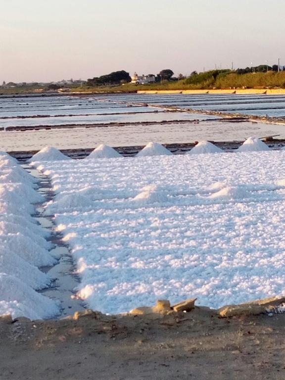 マルサラ Green House Di Ingogliaヴィラ エクステリア 写真
